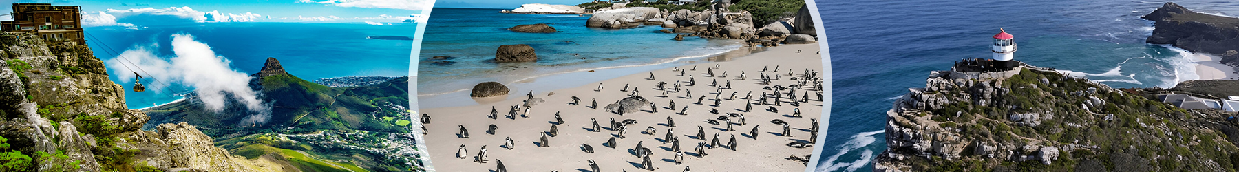 Cape Town & Stellenbosch Escape Coast, Culture & Wine - 7 Nights