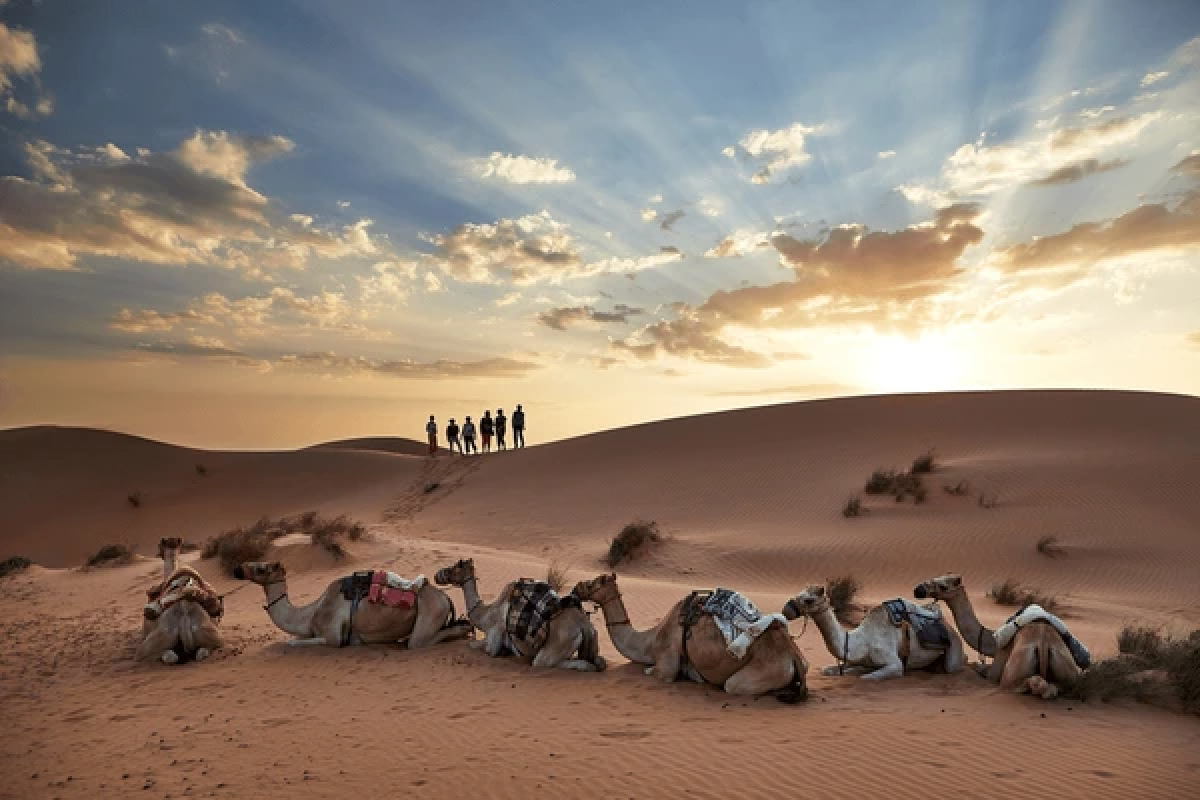 Classic Oman: Mountains, Wadis & Desert - 6 Nights