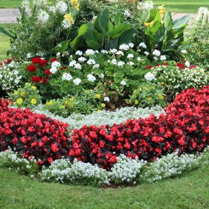 Cheapest Flight to Charlottetown