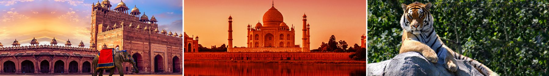 Golden Triangle Tour with Tiger Safari and Goa beach stay - 12 Nights
