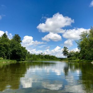 Grand Rapids Flight Deal