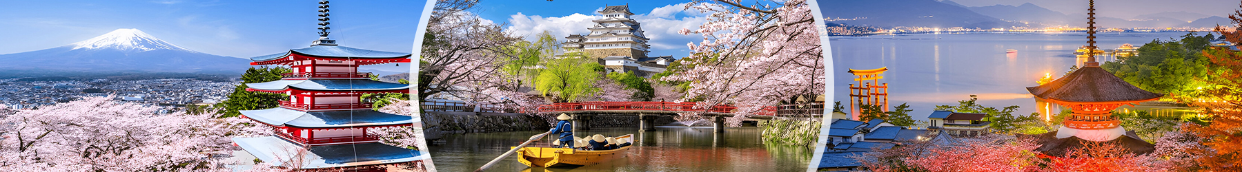 Wonderful Japan - 10 Nights