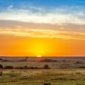 Kenya and Tanzania Holiday Package