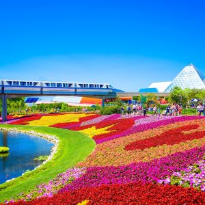 Orlando Holiday Package