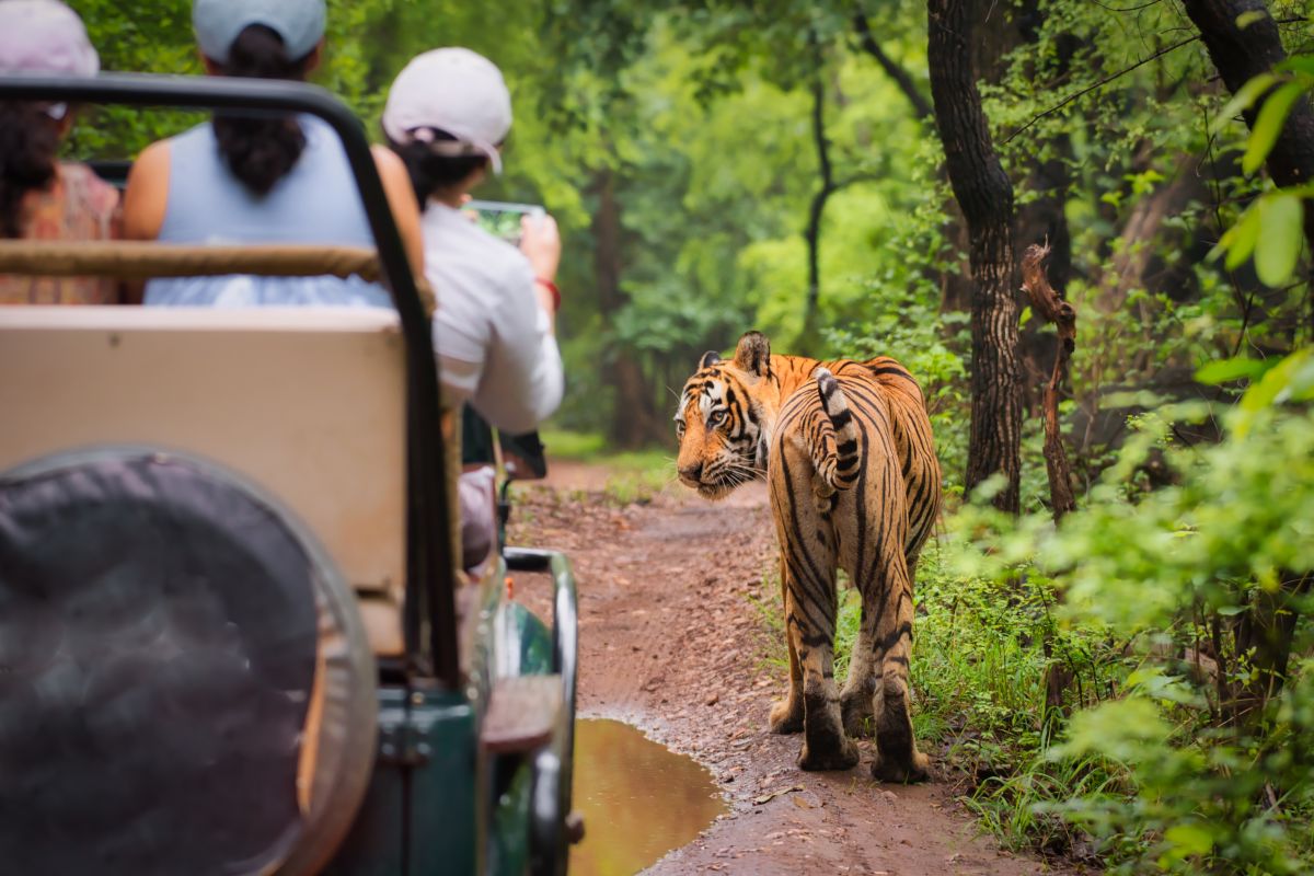 Golden Triangle Tour with Tiger Safari and Goa beach stay - 12 Nights