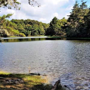 Cheapest Flight to San Jose Costa Rica